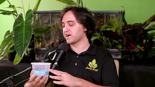 In this episode of the Josh's Frogs Podcast, Phil educates us on keeping and breeding Vampire Crabs in captivity. He explains why they are called Vampire crabs, how to set them up, and how to breed these unique crabs. He also covers why we use live plants with Vampire Crabs and how the cycle of the moon coincides with their breeding behavior. | Josh's Frogs