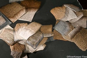 Selecting the Proper Deer Hair to Tie Sparkle Dun and X Caddis Flies - RiverKeeper Flies