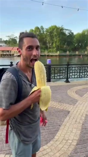 A Maior Banana do Mundo: Descubra essa Gigante!