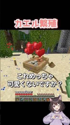 【Minecraft】カエル繁殖【初心者のんびり生配信】#マインクラフト #マイクラ #minecraft #ゲーム実況