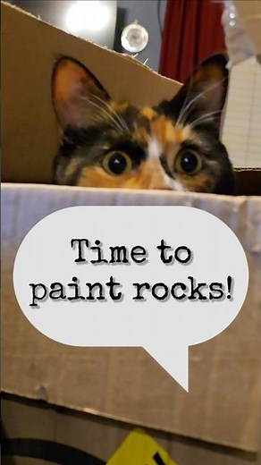 Time to Paint Rocks!