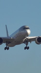 Brilliant CLOSE-UP Landing ✈️ | Airliners Live