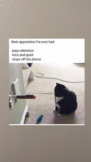 #electrician #electritianlife⚡ #meme