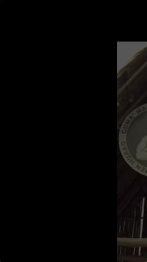 3.1K views · 224 reactions | “Tininu” • A song about the...