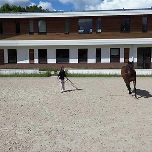 🎥✨ EQUISYM, our solution dedicated to equine locomotion analysis. Thanks to cutting-edge sensor technology, Equisym detects movement asymmetries and helps you better understand each horse’s locomotor evolution. 🎯 Goal: to support veterinarians, trainers, and riders in injury prevention and performance monitoring. Find out more about Equisym : https://hubs.li/Q03l07Xv0 📷 Richard Jean Jean #Equisym #Arioneo #Empoweryourexpertise #Horsedatascience #ENVA | Arioneo