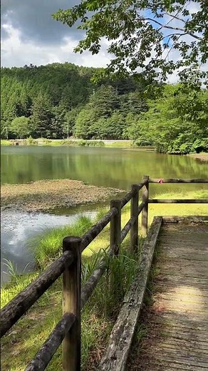 🏞️【高原の涼】段戸裏谷原生林「きららの森」、段戸湖の周辺｜暑い日も涼しい♪きれいな遊歩道｜愛知県設楽町、2025年7月27日
