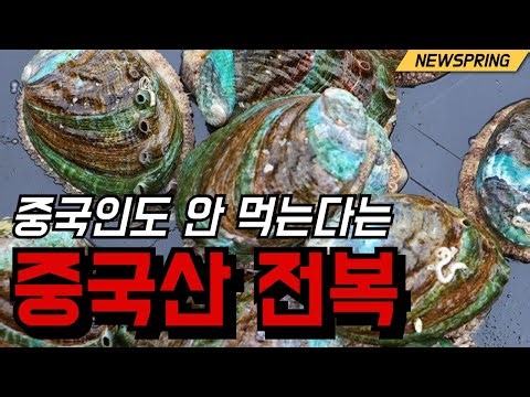 [스프링뉴스] 붕사 전복이라니, 이래도 드시겠습니까?