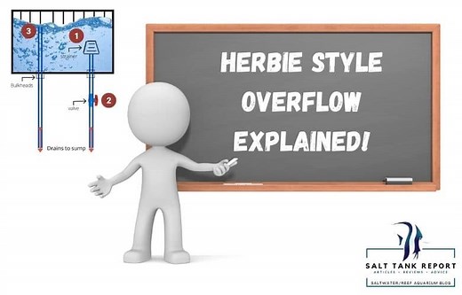Herbie Style Overflow Guide (Here Is How It Works)