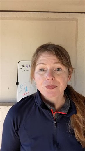 ProGroom and blogger on Instagram: "How cellulitis in horses happens! That hot swollen leg needs immediate attention and veterinary care."