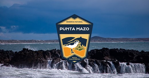 Reserva Natural Punta Mazo | Terra Peninsular A.C.