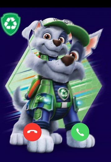 Rocky Edit - Paw Patrol Moments Featuring Rocky | Paw Patrol Rocky Videos