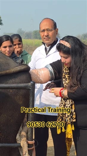 AI Maitri Practical Training | Complete Hands-On Guide | Beginner to Expert Guide |