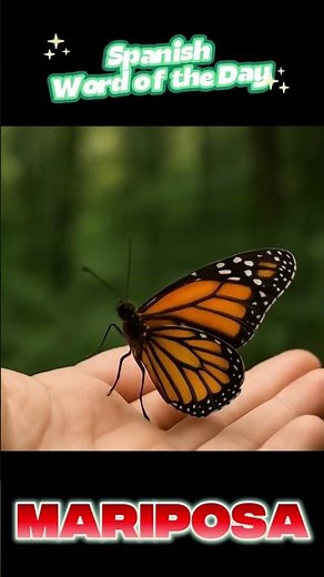 Learn Spanish With Butterflies!