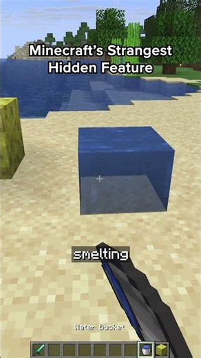 Minecraft’s Strangest Hidden Feature
