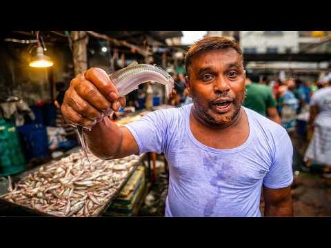 Inside Dhaka Fish Market | Fresh Pabda Fish Selling Scene