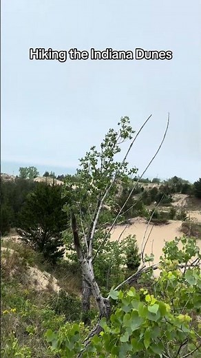 Hiking the Indiana Dunes National Park