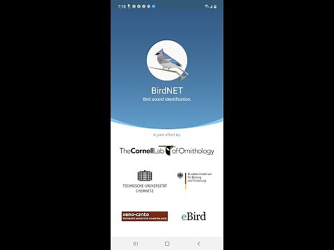 Midwest Wilderness Connections: BirdNET Smartphone App Tutorial