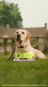  THIS PAW-SOME HOUSE COULD BE YOURS... when you enter the Cotswolds House Draw supporting Guide Dogs. For your chance to win this idyllic house worth over £5,000,000, plus £250,000 in cash, while helping give people with sight loss their freedom, enter now. What are you waiting for? Click here | Omaze UK | Facebook