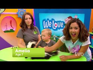 Skunk Facts (TVO Kids)
