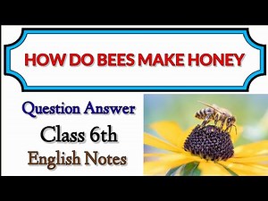 How Do Bees Make Honey Question and Answer Class 6TH। Unit - 3। English Notes