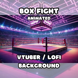 ANIMATED BACKGROUND - Box Fight, Neon Arena, Rumble (loop, 4k 60 Fps) VTUBER / Lo - Fi / Stream Background - Etsy Canada