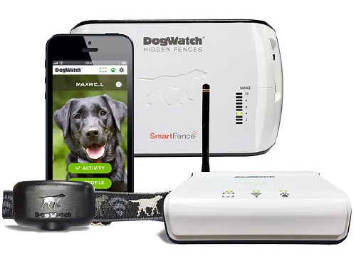 Outdoor Hidden Dog Fence: Pet Safety | DogWatch® Atlanta