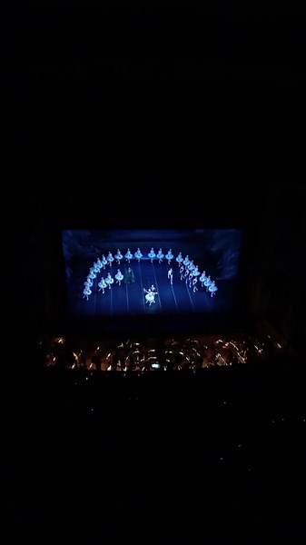 Teatro Colón: Experiencia en Paraíso de Pie