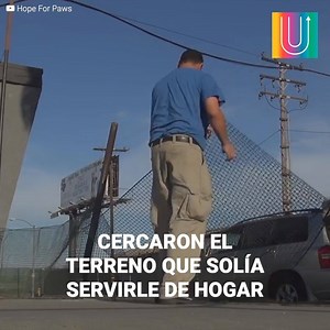 288K views · 10K reactions | "Si buscan en google maps, la pueden...