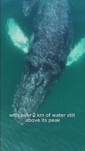 How Deep Is the Ocean… Really?