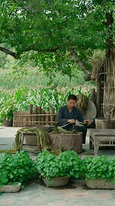 105K views · 1.5K reactions | ✨ From Plant to Fabric: Witness the Timeless Craft of Hemp Weaving! Discover how raw hemp is masterfully turned into soft, airy fabric — known as the perfect “summer cloth” for staying cool in the heat. Traditional, natural, and beautiful. #HempWeavingHeritage #AcrossAsiaTraditions #EcoCraftAsia #NaturalFabricMagic #WeavingThePast | Across Asia | Facebook