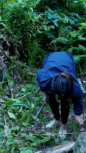 15K views · 183 reactions | Building camp in the forest, enjoying the refreshing sounds of nature #bushcraft #relax #intherain #stream | Thomas Samantha | Facebook