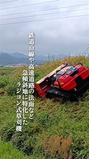 アラフォーです。草刈機です。ラジコン式です。#草刈り 草刈り