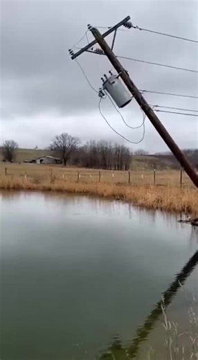 Power Line Accident Electrifies Pond: Shocking Moment