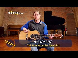 Martin DCPA1 Addy/Madagascar Rosewood #1550257 Quick 'n Dirty