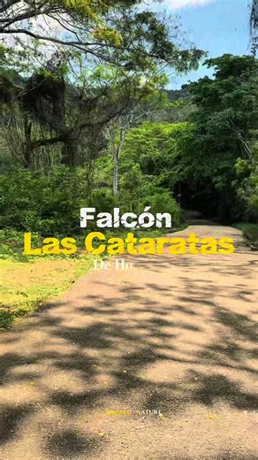 Falcón - Bonito 💚😀 - Las Cataratas de Hueque - Municipio Petit #Mostrando #Recorrido #Paisajes