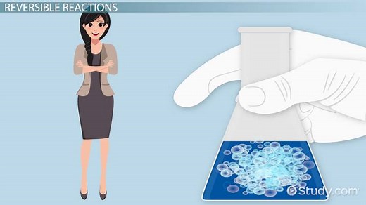 Factors that Affect Chemical Equilibrium