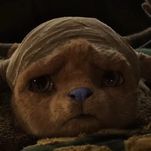 Chopper And Hiruluk's Emotional Bond | One Piece Season 2 Sad Edit | Golden Brown (SLOWED)