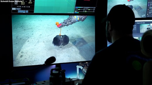 Scientists discover at least 20 new species in underwater ecosystem