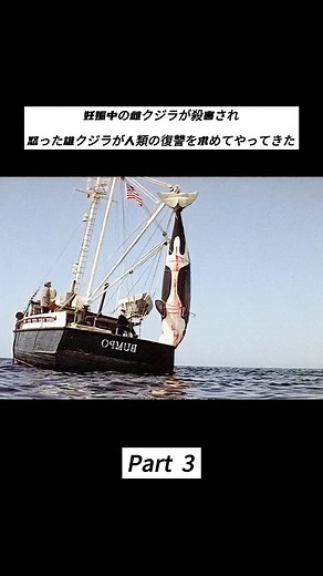 妊娠中の雌クジラが殺害され怒った雄クジラが人類の復讐を求めてやってきた#アニメ #映画とテレビ