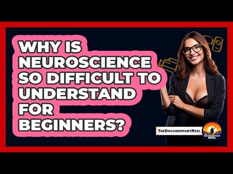 Why Is Neuroscience So Difficult To Understand For Beginners? - The Documentary Reel