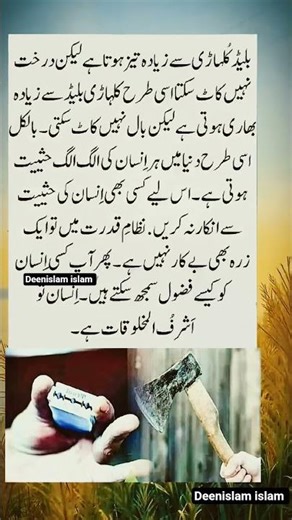 Allah sy umeed #trending #sufishairi #musicgenre #cute #love #sufibaeth #musicsong #quotes #duet