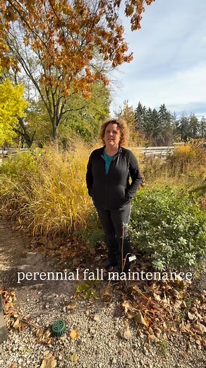 23 reactions | Becca shares some perennial maintenance advice as we...