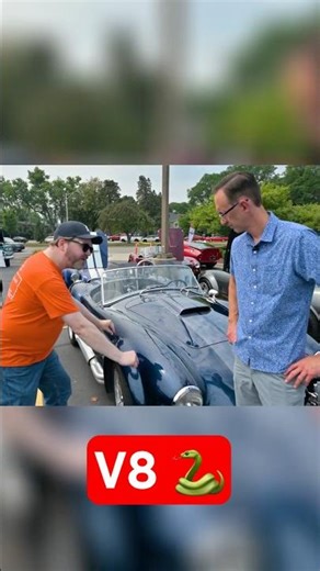 You Probably Never Noticed This Cobra Design Secret!