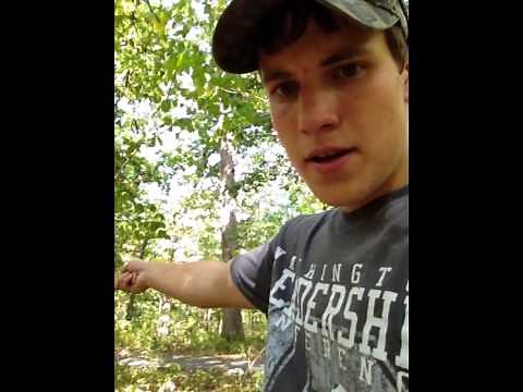 Forestry -- How to use the Biltmore stick.