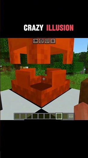 Minecraft illusion..🙃