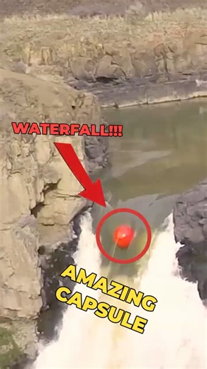 The Genius Tsunami Survival Capsule: 5 Days of Provisions Included