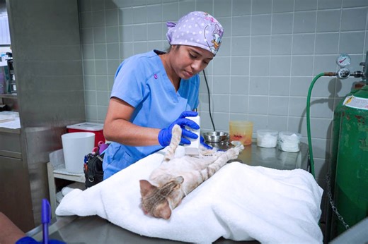 Petco Love donates to San Juan Animal Protection and Adoption Center - News is My Business