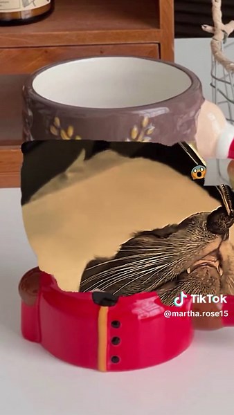 Martha Rose on TikTok