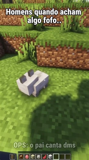 Quando ele vê algo cute assim #minecraft #funny #minecraftmemes #humorvibes