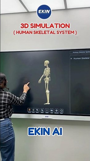 Explore the 3D Simulation of the Human Skeletal System on EKIN AI Royal Series Panel #ekin